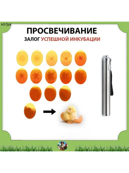 Овоскоп для яиц KANDIX mini светодиодный, вариант
