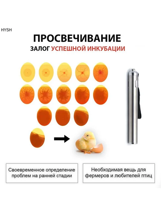 Овоскоп для яиц KANDIX mini светодиодный, вариант, фото 3