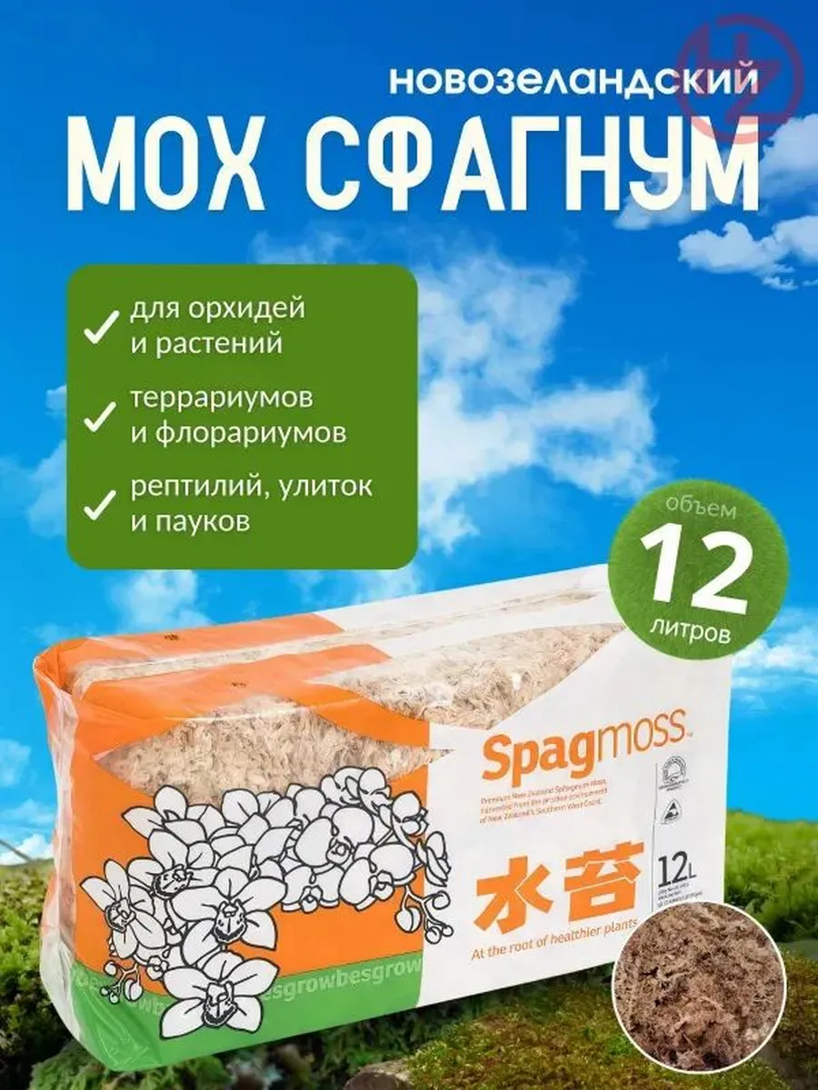 Стабилизированный мох сфагнум Spagmoss, 150 г