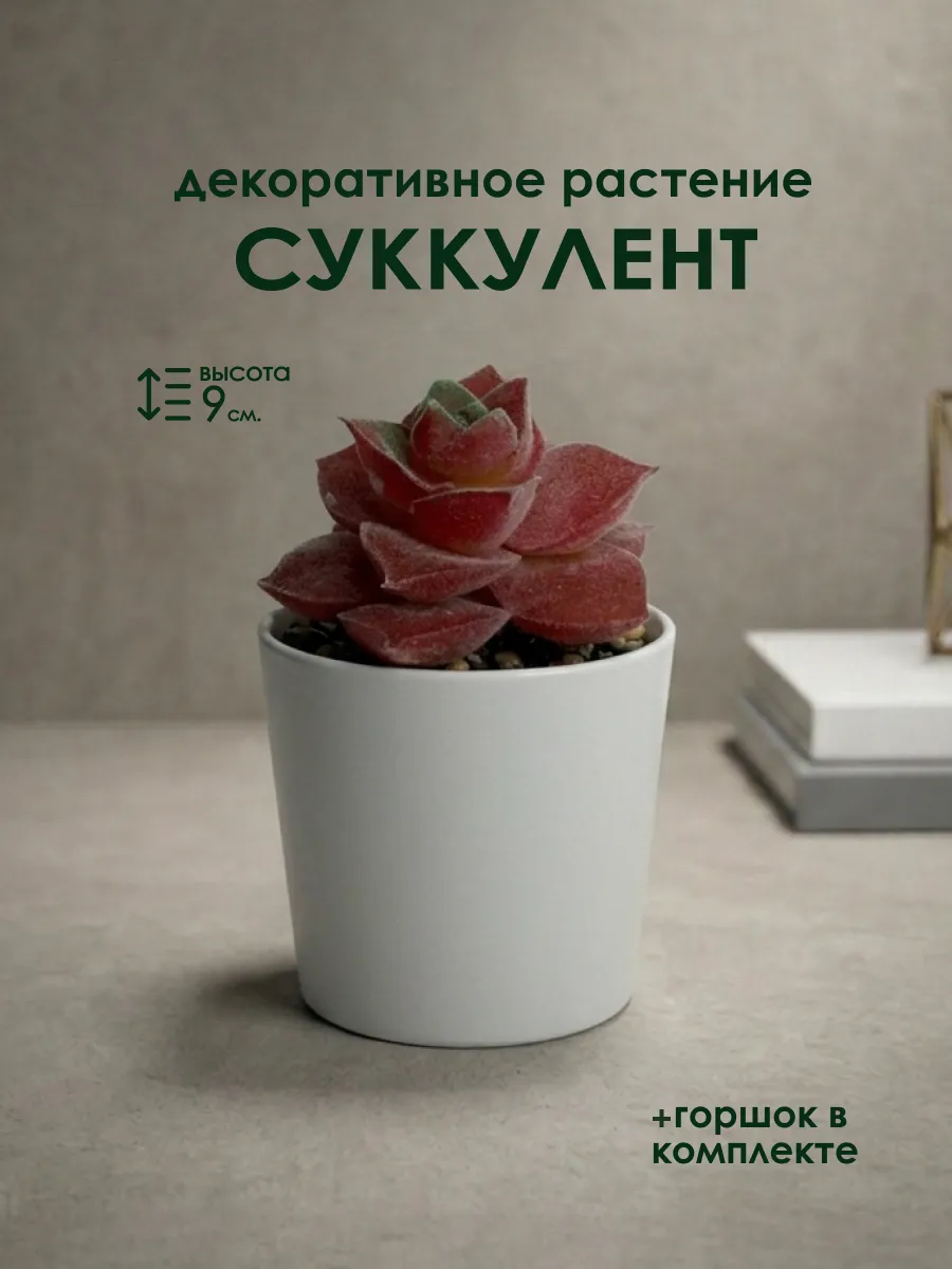 Декоративное искусственное растение Суккулент в горшке 9 см
