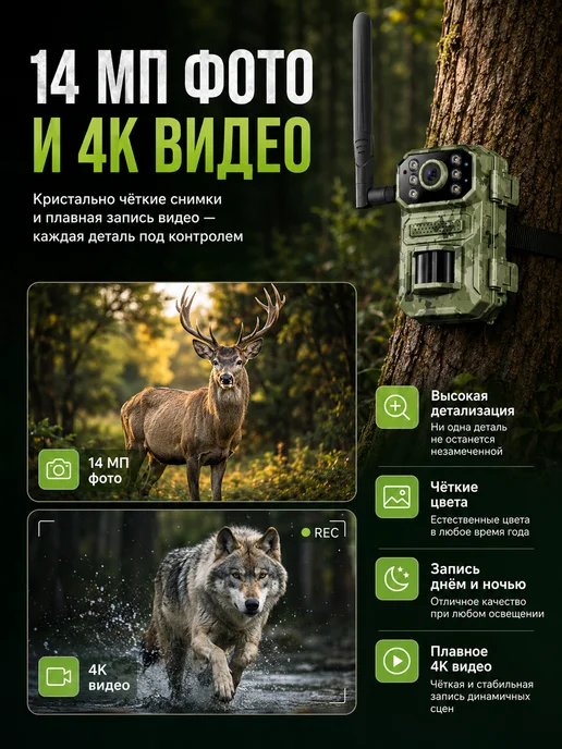 Фотоловушка HC-550A 24МП 2.7K с ночным видением, 4 г, фото 3
