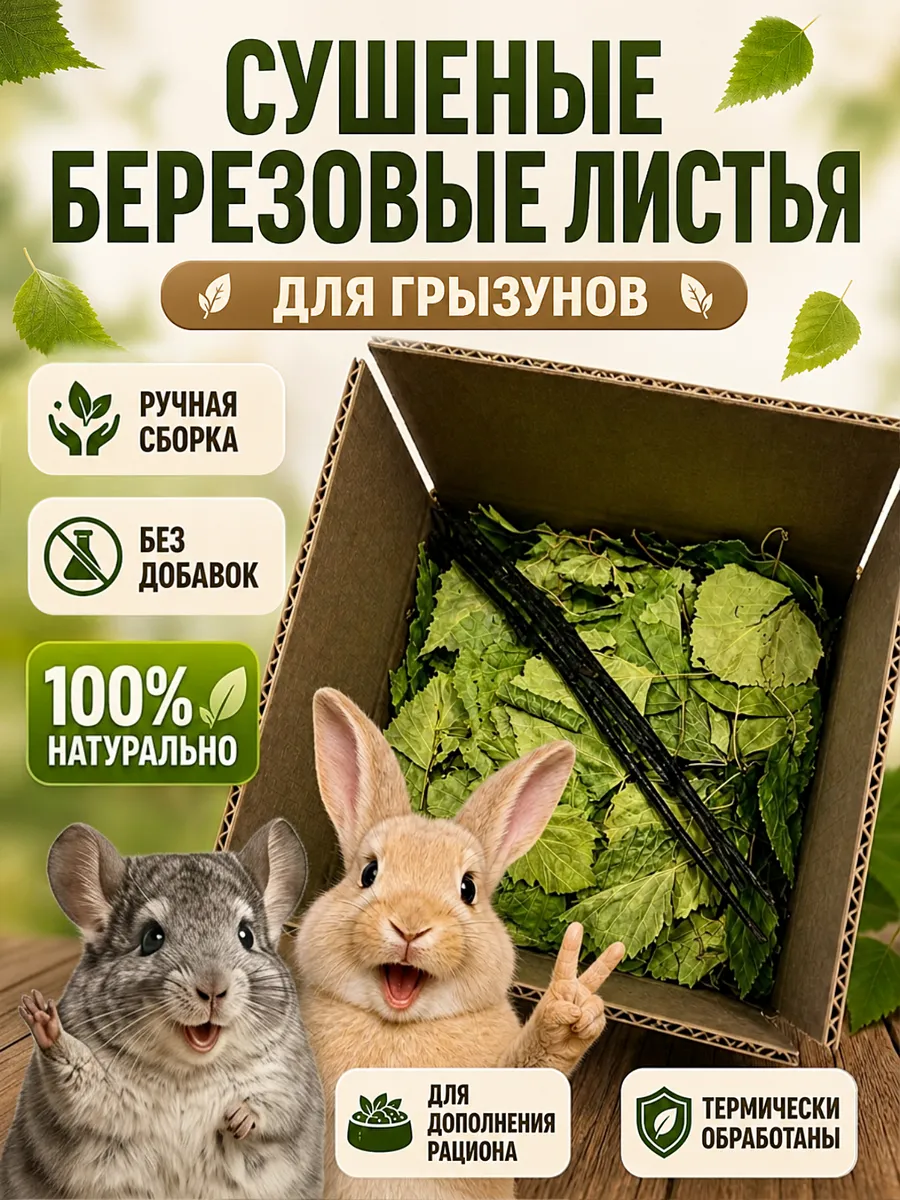 Березовые листья для грызунов