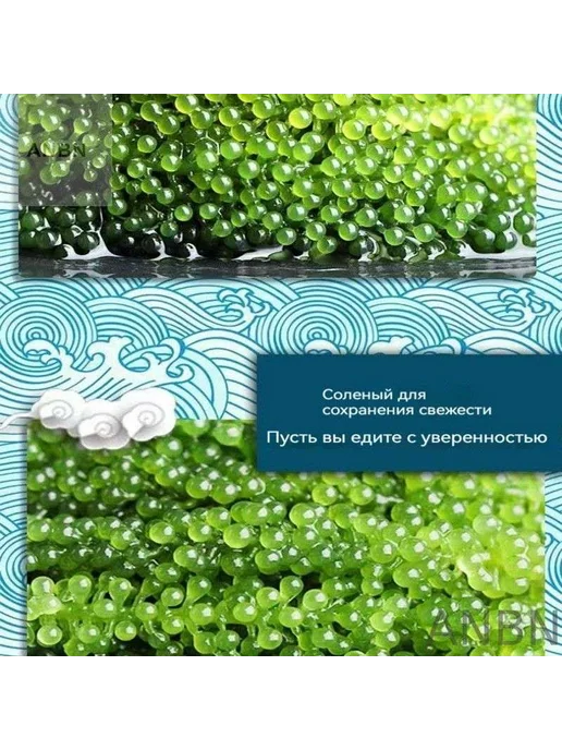 Морской виноград (зелёная икра), 100 г, 100 г, фото 2