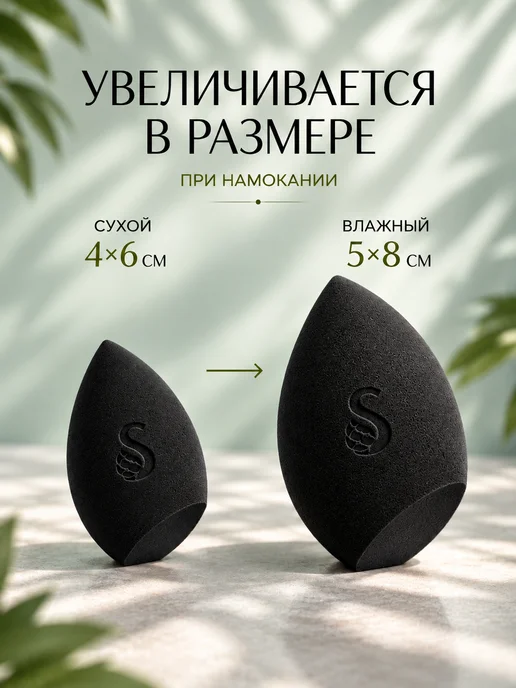 SHIU Набор черный коричневый спонжи с контейнером, черный, фото 2