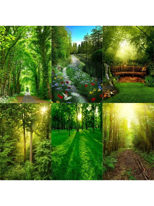 LS Фон для фотосъемки тропический лес 150x180 см, цвет 5, 150x180 см, фото 2