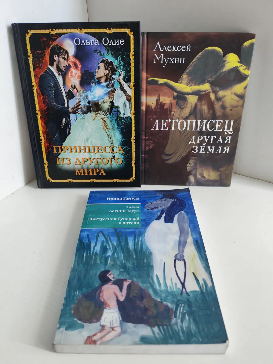 Принцесса из другого мира, Летописец, Тайна богини Таурт