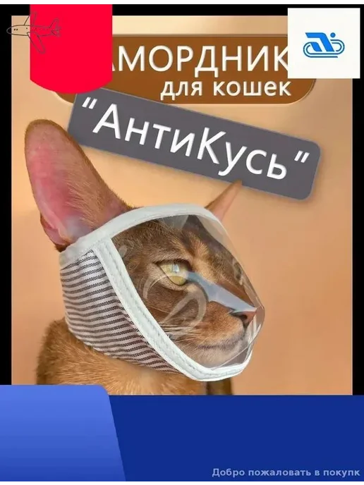 Ветеринарная маска-обручка для кошек, белая, размер S, белый
