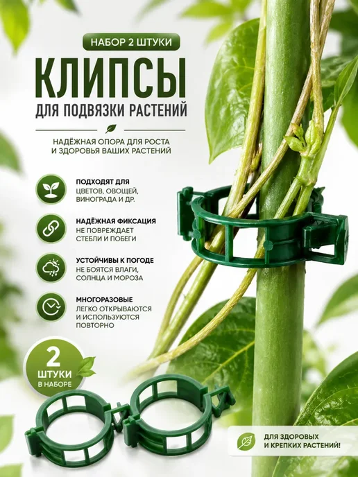 глясаж1 Держатели для растений клипсы для подвязки стеблей, зеленый
