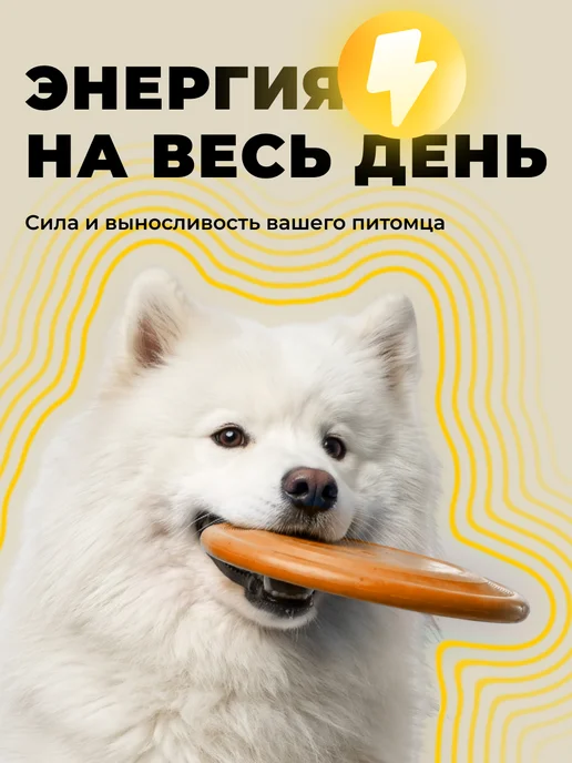 Сухой корм KORWOOD для собак, мелкие, ягненок, 5 кг, фото 2