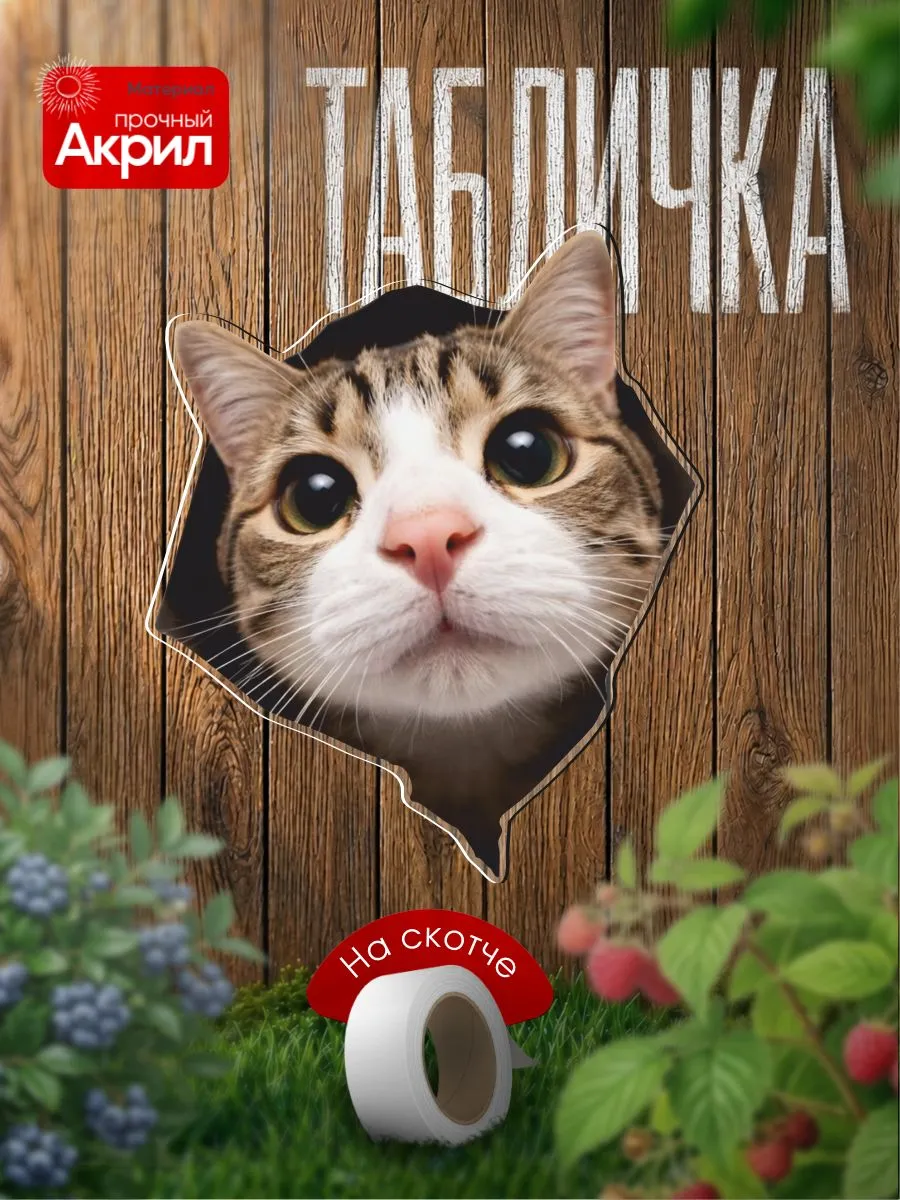 Табличка декор Котик