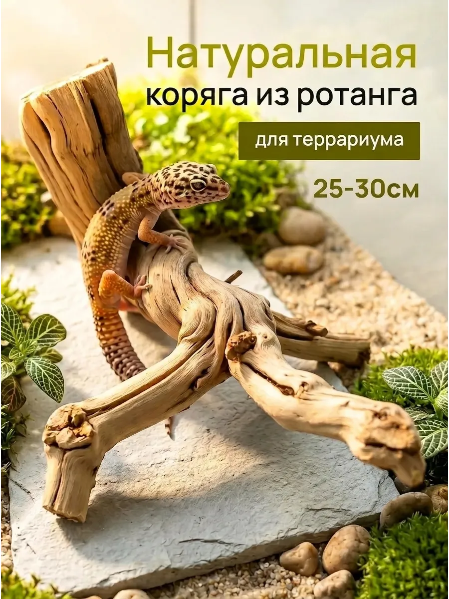 Натуральная коряга для террариума 25-30 см.