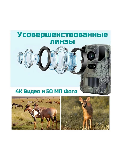 Филин Уличная фотоловушка MiNi 800 FHD с ИК, FHD, фото 3