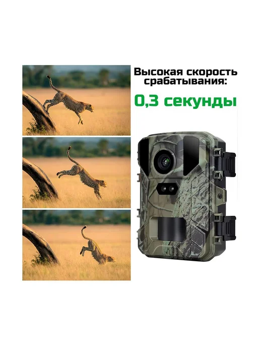 Филин Уличная фотоловушка MiNi 800 FHD с ИК, FHD, фото 4