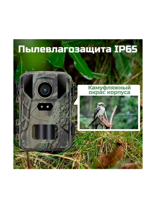 Филин Уличная фотоловушка MiNi 800 FHD с ИК, FHD, фото 5