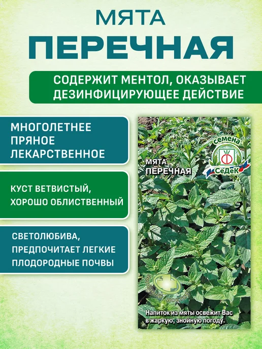 СеДеК Семена зелени для сада и балкона, зеленый, фото 2