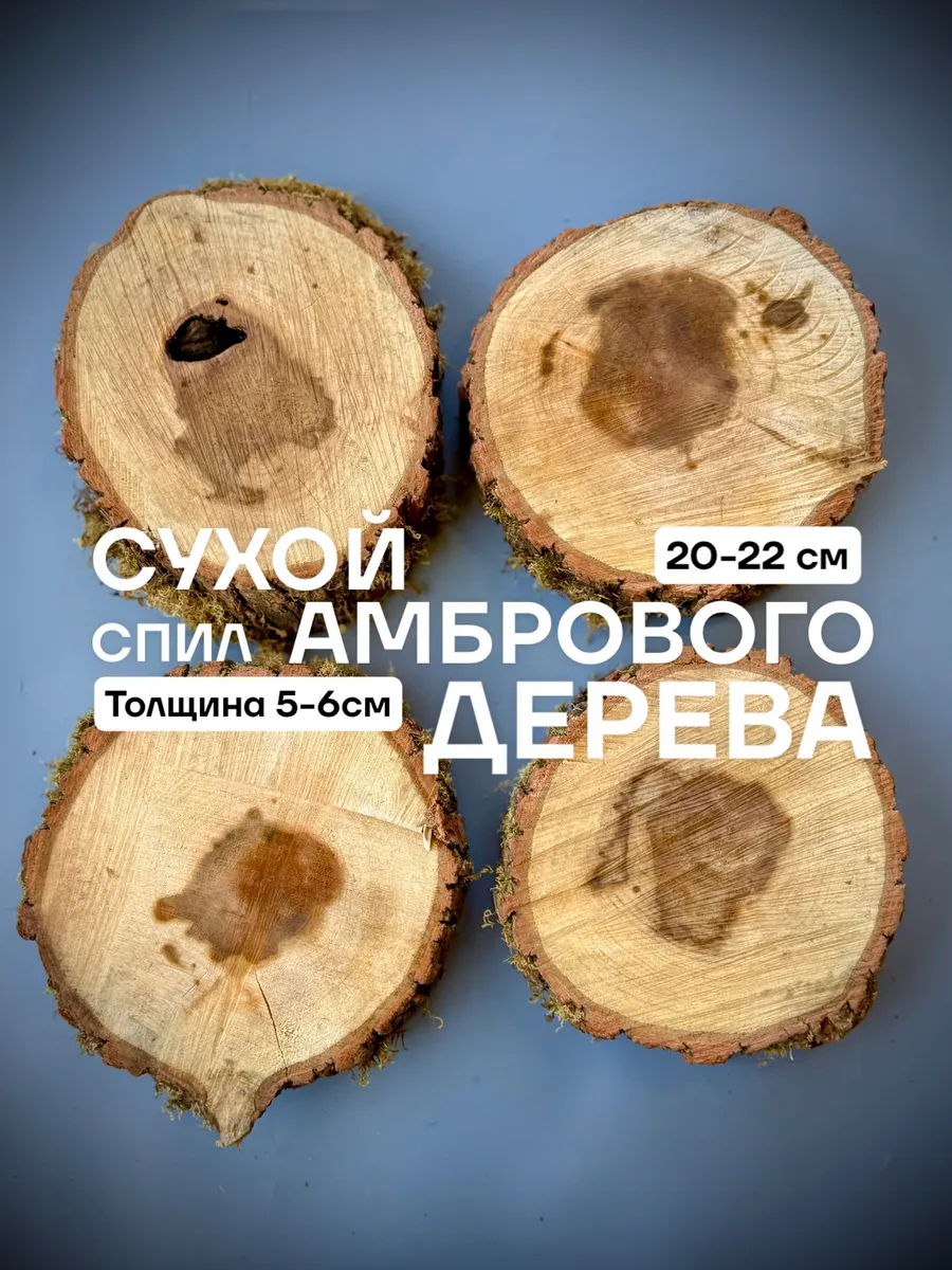 Сухой Толстый спил Амбрового Дерева 20-22см 1 шт