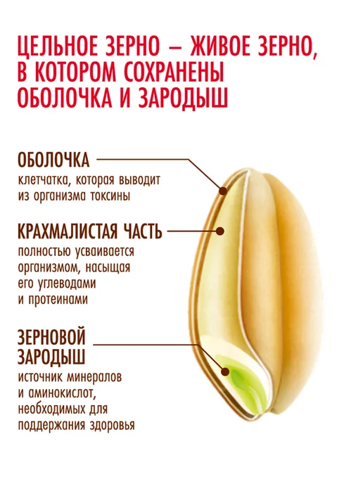 Образ жизни Алтая Крупа 4в1 (гречка зеленая и коричневая, овес, полба) 1,4кг, 6 шт, 500 г, фото 5