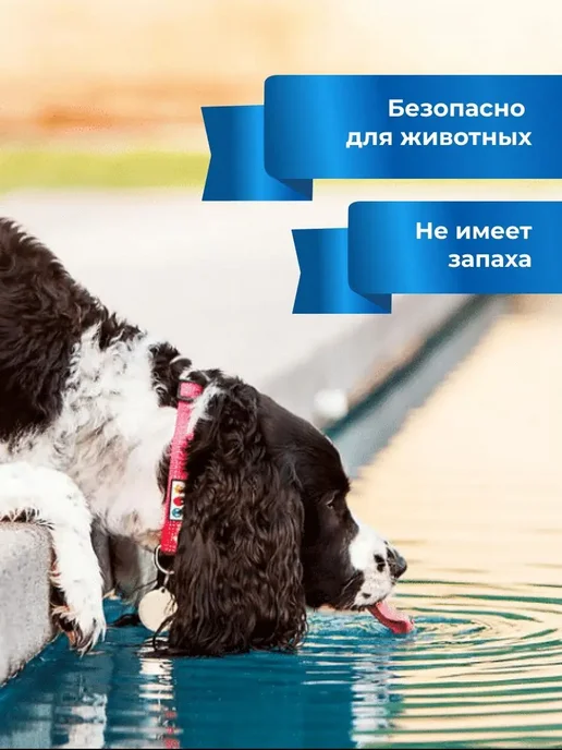 BREEZY POOL Средство для очистки воды, 10 л, фото 5