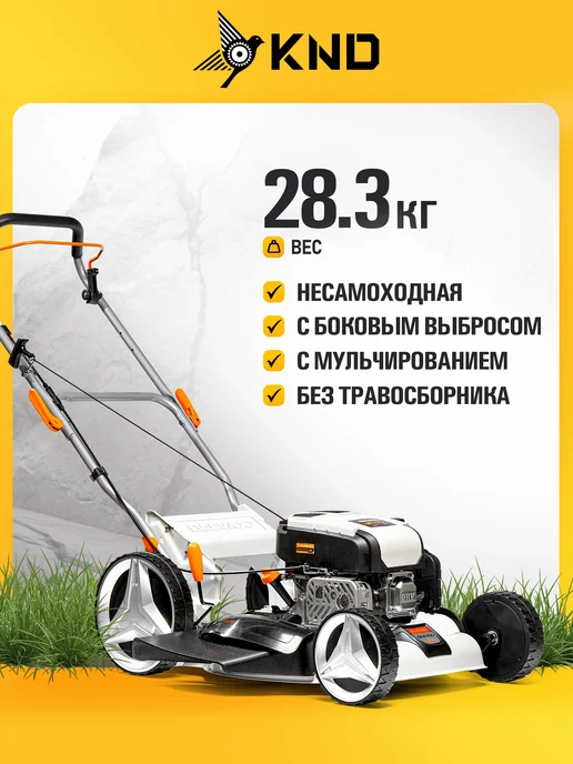 DAEWOO L 55SD Газонокосилка бензиновая (6 лс, 54 см), вариант, фото 2