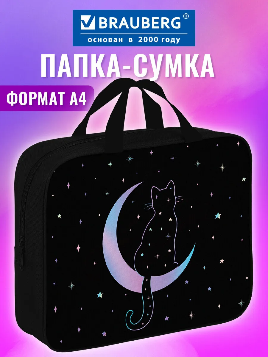 Папка сумка для тетрадей, труда, рисования и изо А4 в школу
