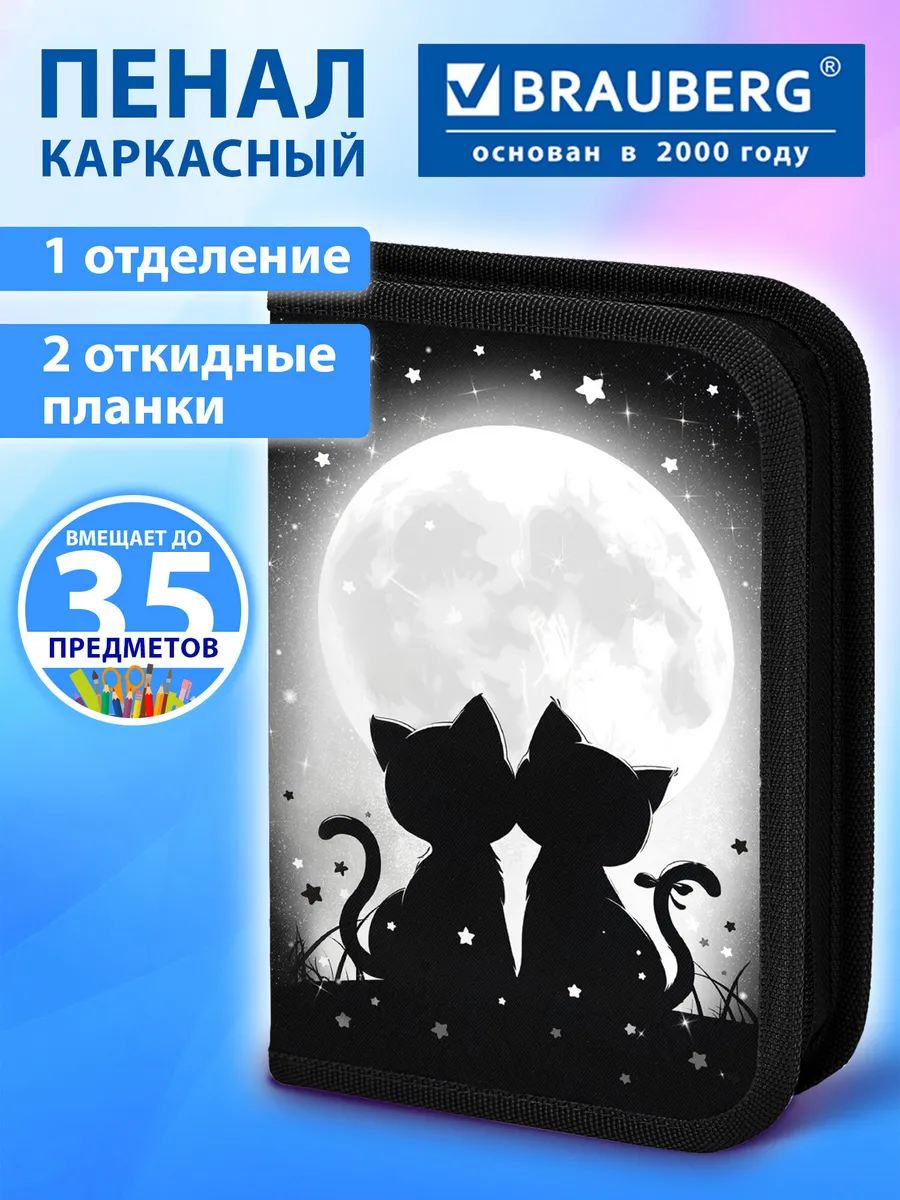 Пенал школьный для девочек для карандашей, ручек 1 отделение