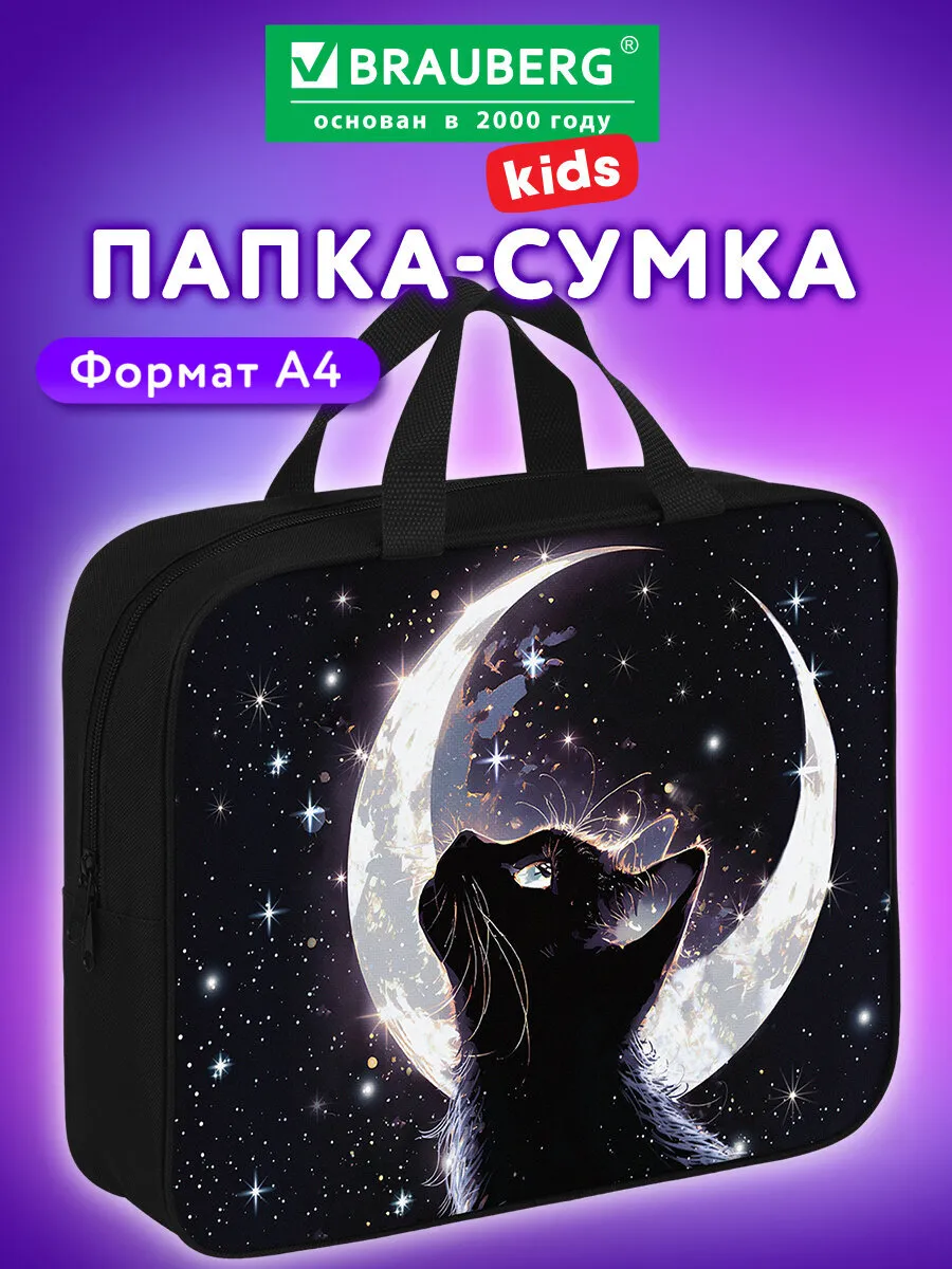 Папка сумка для тетрадей, труда, рисования и изо А4 в школу