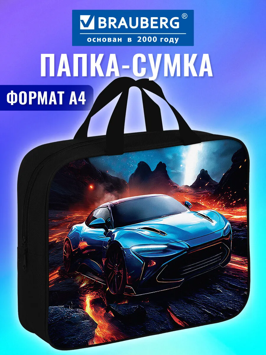 Папка сумка для тетрадей, труда, рисования и изо А4 в школу
