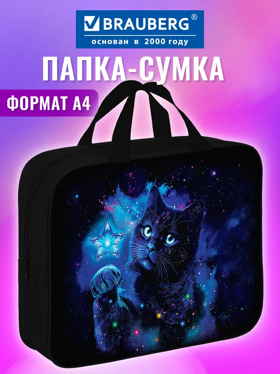 Папка сумка для тетрадей, труда, рисования и изо А4 в школу