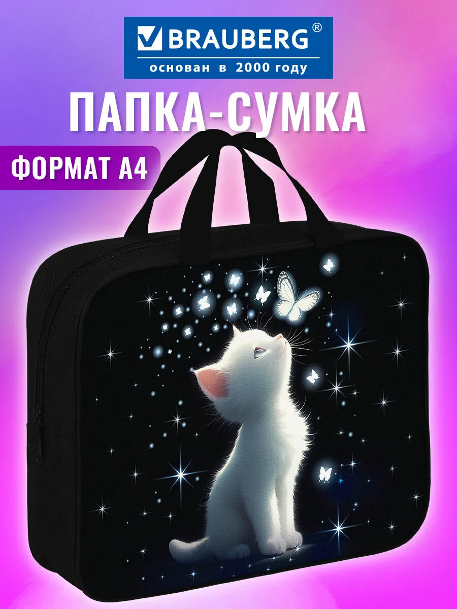 Папка сумка для тетрадей, труда, рисования и изо А4 в школу