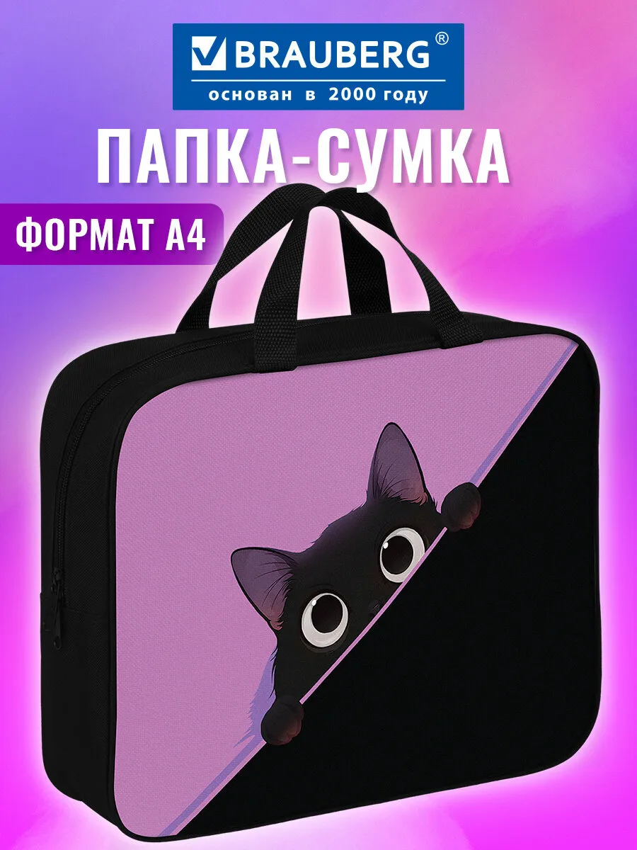 Папка сумка для тетрадей, труда, рисования и изо А4 в школу