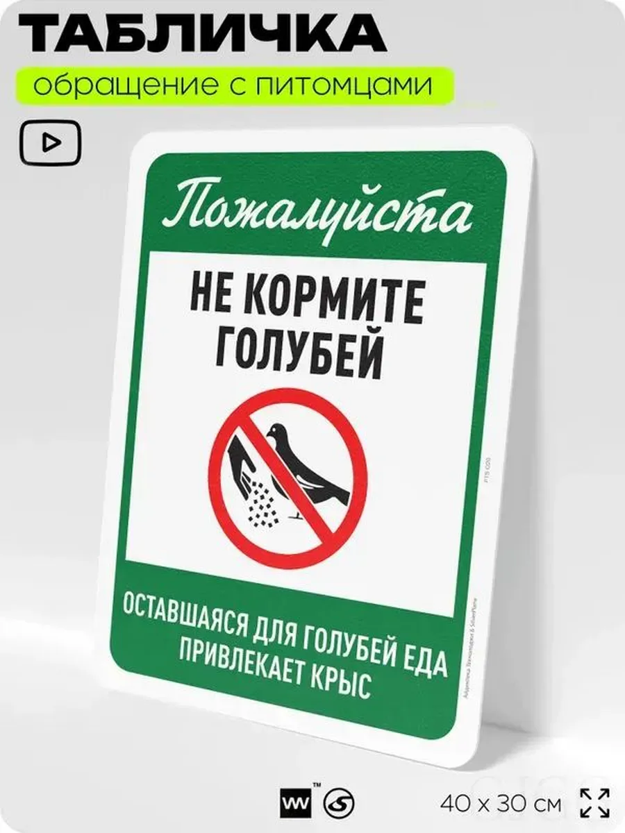 Табличка «Не кормите голубей», 40x30 см, пластик