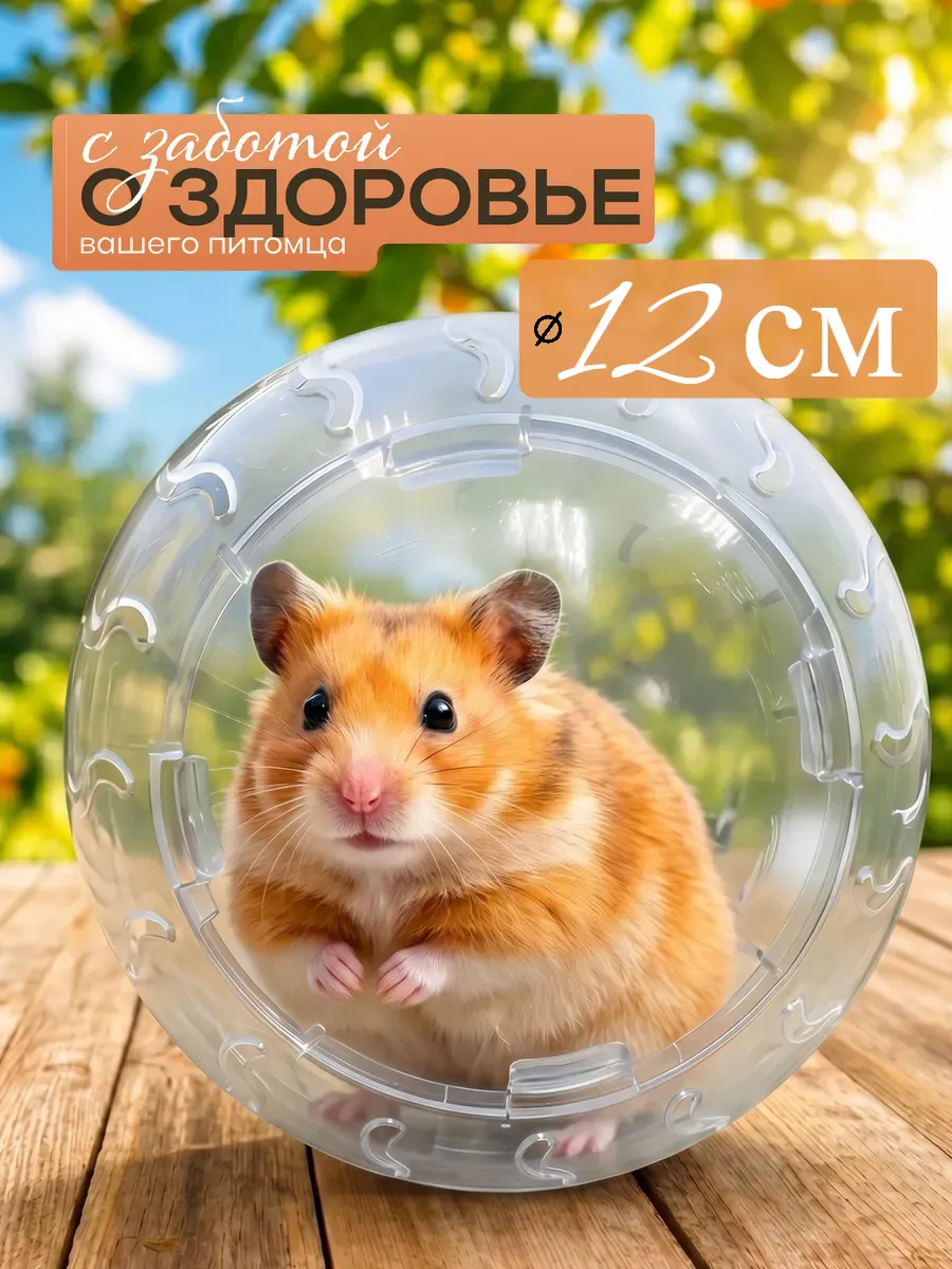 Прогулочный шар для грызунов хомяков