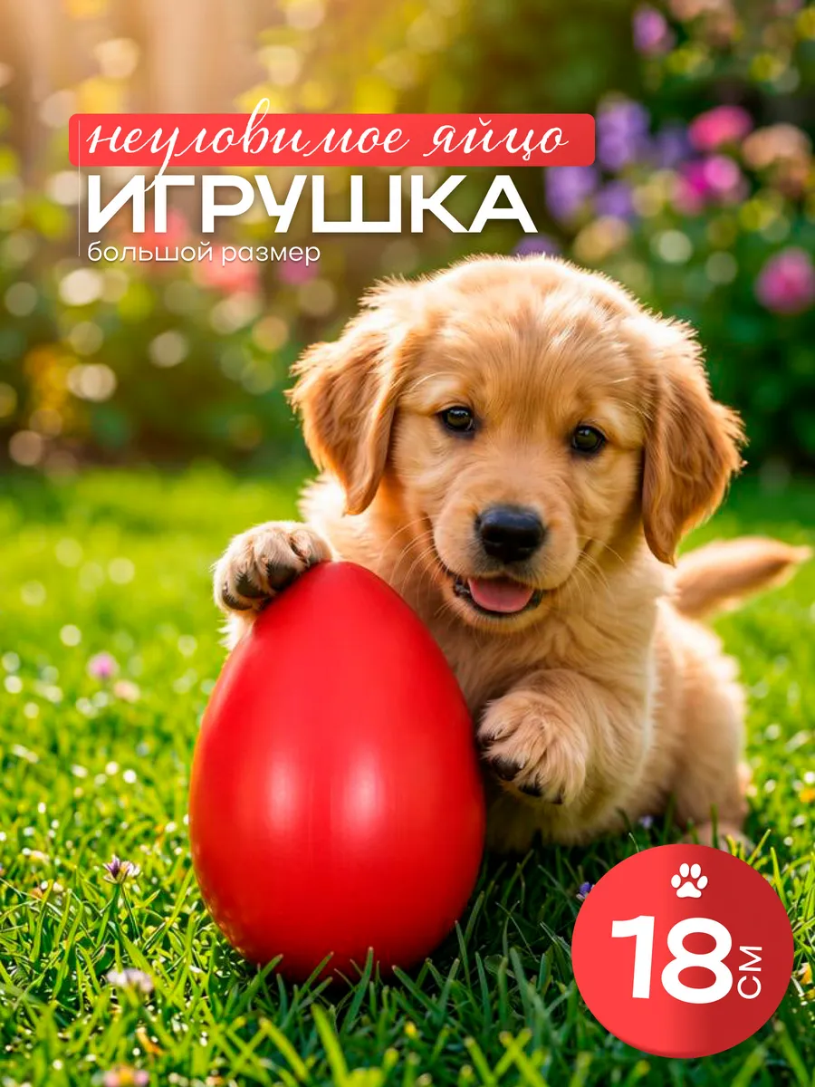Игрушка для собак неуловимое яйцо