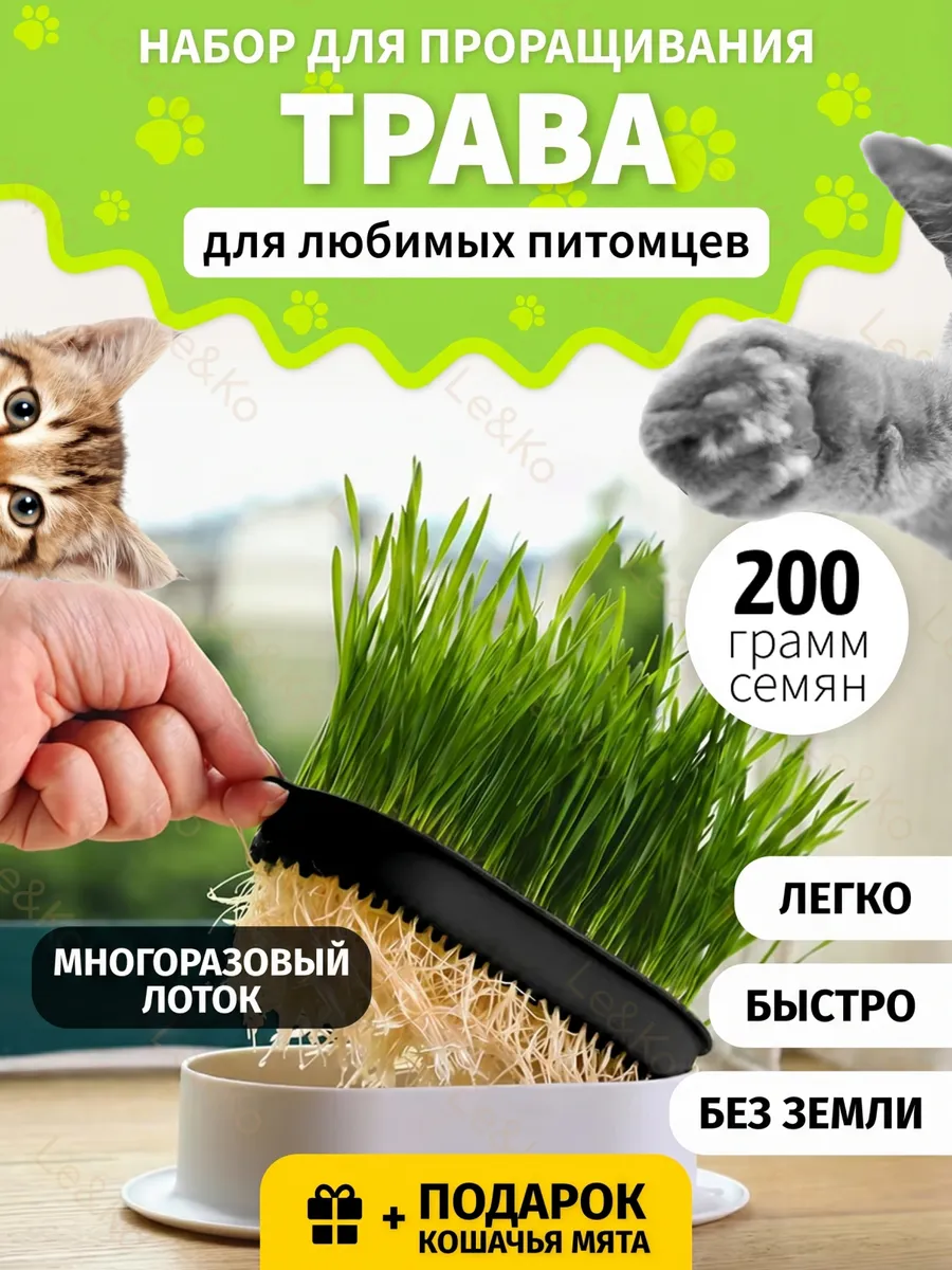 Трава для кошек для проращивания