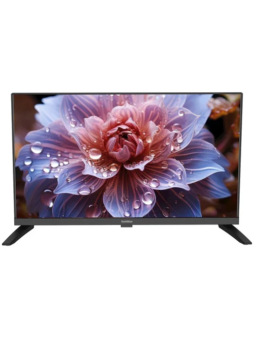 Goldstar Телевизор LT-24R1100, черный