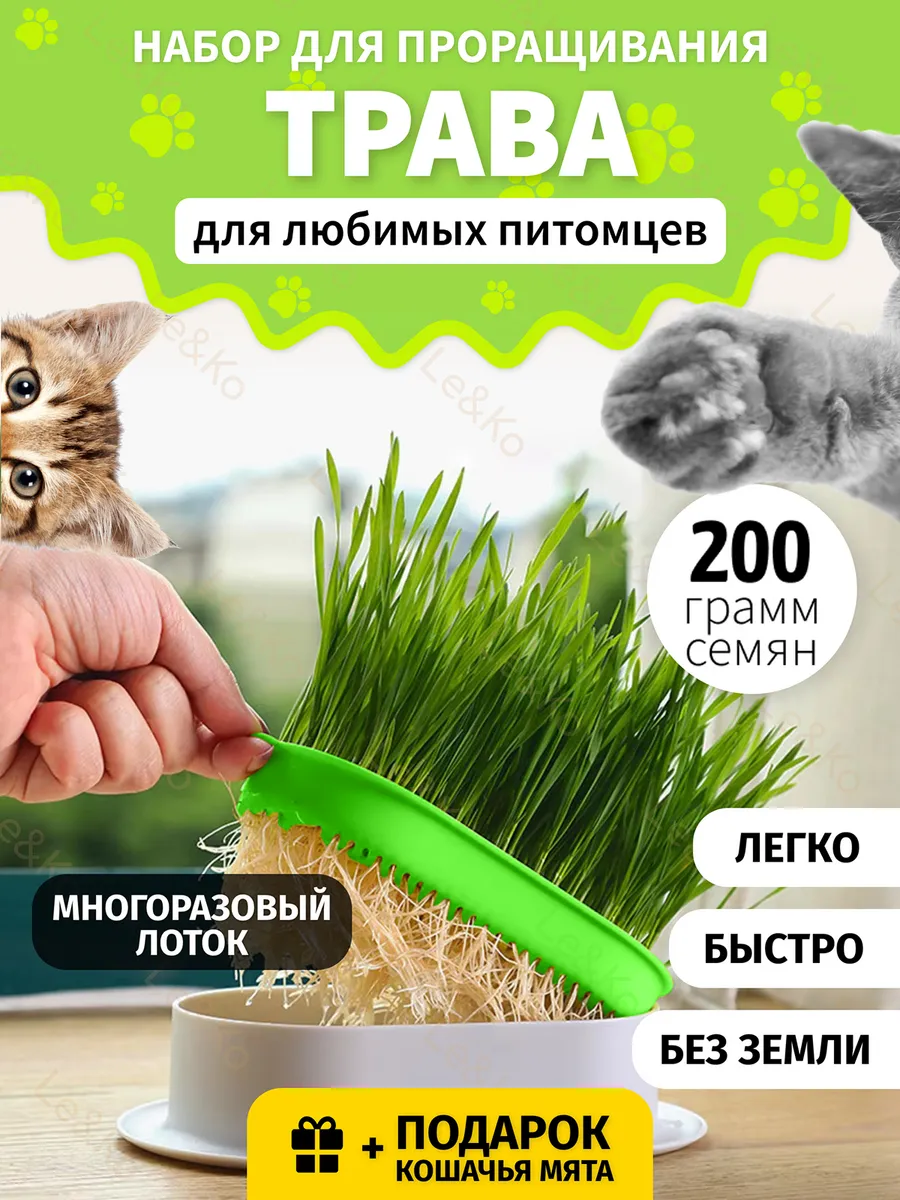 Трава для кошек для проращивания