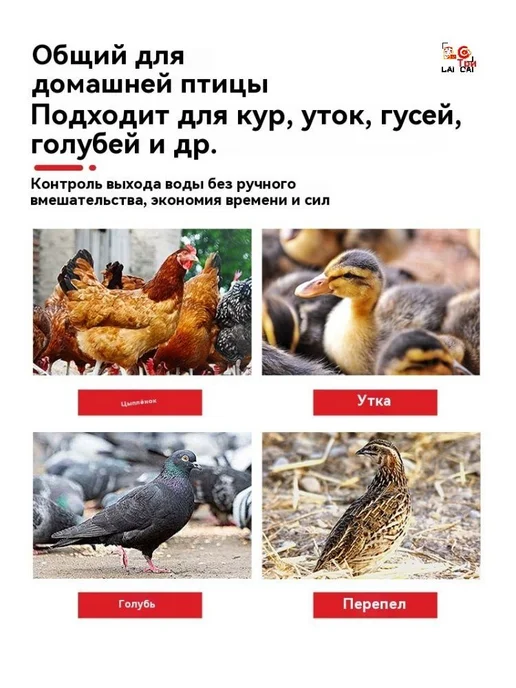 Поилка для кур 10 л + 10 чаш, для ферм и курятников, 10 л, фото 4