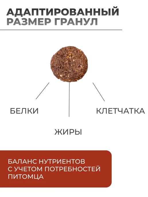 Сухой корм MONGE Dog Bwild для собак, беззерновой, взрослые, ягненок, 2,5 кг, фото 2
