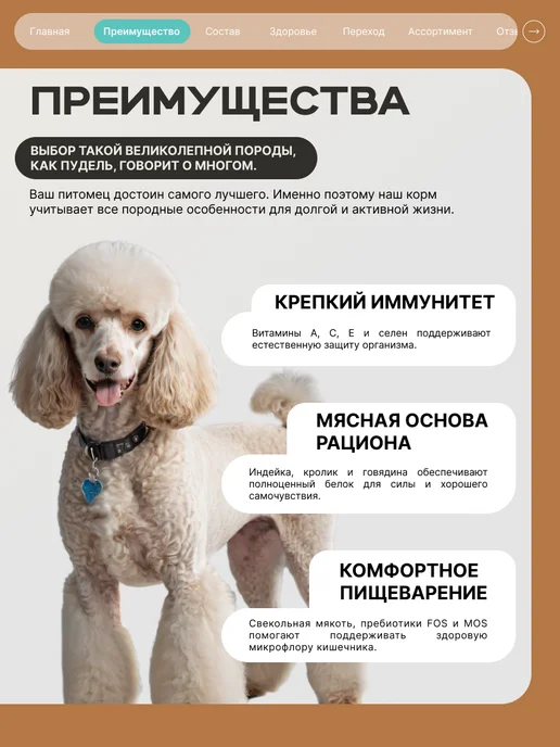 Сухой корм QUATTRO Пудель для собак, кролик, 12 кг, фото 2