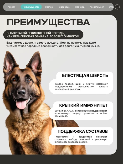 Сухой корм QUATTRO Бельгийская Овчарка для собак, кролик, 3 кг, фото 2