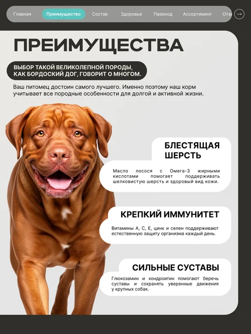 Сухой корм QUATTRO Бордоский Дог для собак, кролик, 12 кг, фото 2