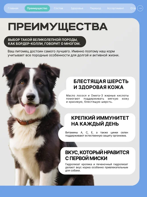 Сухой корм QUATTRO Бордер-Колли для собак, кролик, 12 кг, фото 2