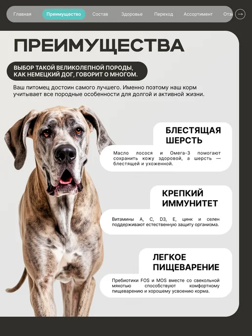 Сухой корм QUATTRO Немецкий Дог для собак, кролик, 12 кг, фото 2