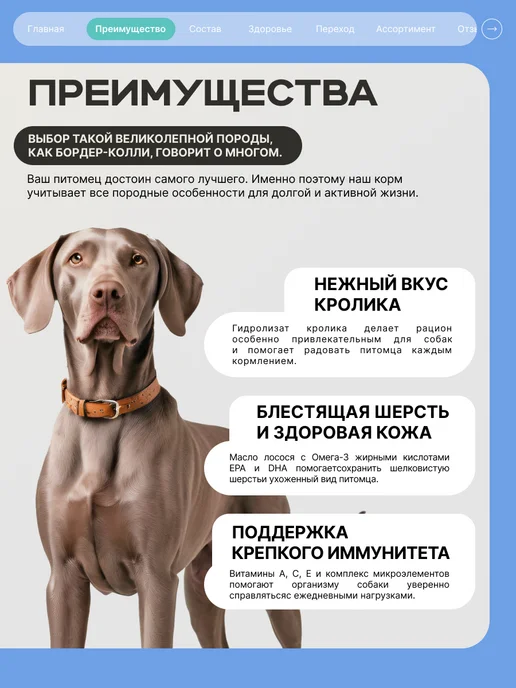 Сухой корм QUATTRO Веймаранер для собак, кролик, 12 кг, фото 2