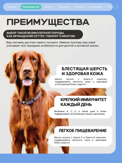 Сухой корм QUATTRO Ирландский Сеттер для собак, кролик, 12 кг, фото 2