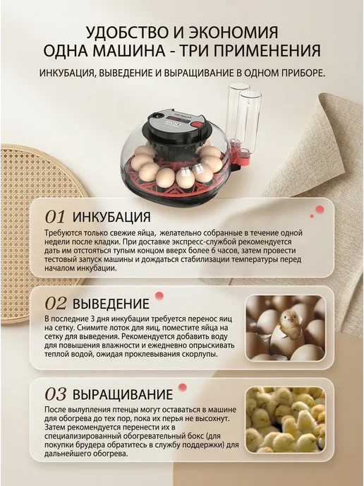 Мини инкубатор домашний на 12 яиц автоматический, черный, фото 3