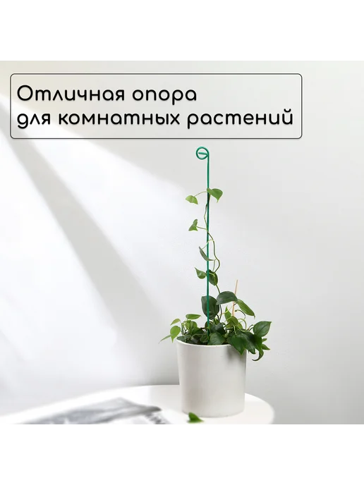 Market_Сад и Огород Колышек для подвязки растений, h = 60 см, d = 0.3 см, вариант, фото 2