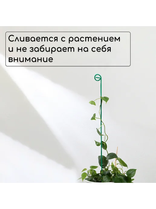Market_Сад и Огород Колышек для подвязки растений, h = 60 см, d = 0.3 см, вариант, фото 3