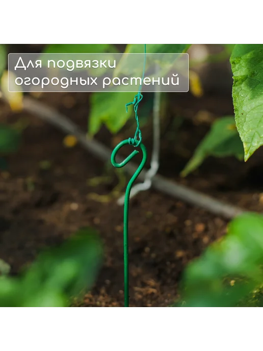 Market_Сад и Огород Колышек для подвязки растений, h = 60 см, d = 0.3 см, вариант, фото 4