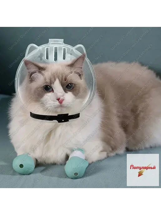 Намордник дышащий прозрачный для кошек и мелких собак, вариант, фото 2